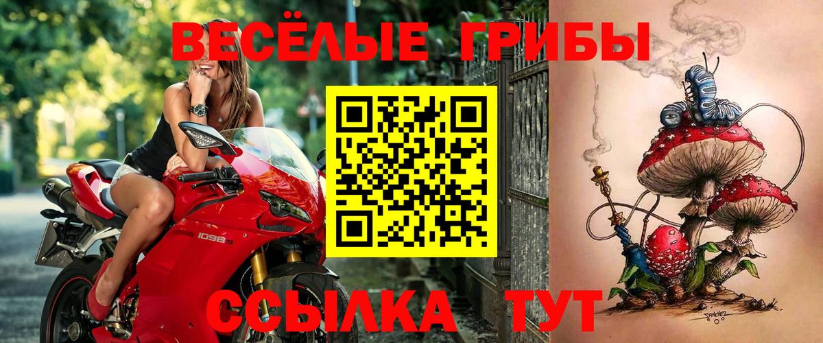 Псилоцибиновые грибы Magic Shrooms  Вход с VPN  Калач-на-Дону 